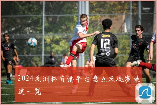 2024美洲杯直播平台盘点及观赛渠道一览