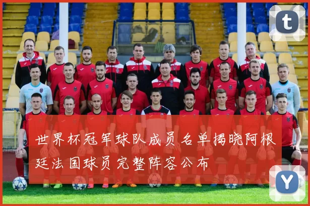 世界杯冠军球队成员名单揭晓阿根廷法国球员完整阵容公布