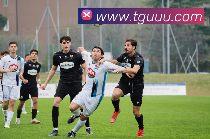 App Interface Preview